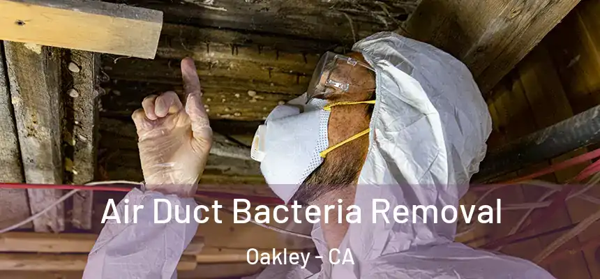  Air Duct Bacteria Removal Oakley - CA
