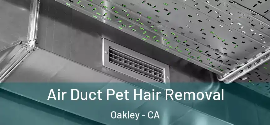  Air Duct Pet Hair Removal Oakley - CA