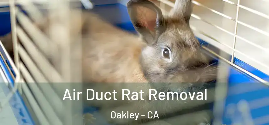  Air Duct Rat Removal Oakley - CA