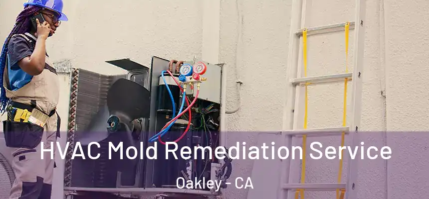  HVAC Mold Remediation Service Oakley - CA