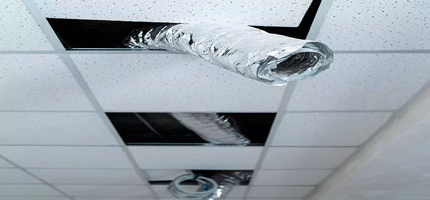 Affordable HVAC Sanitizing After Pest Removal in Oakley