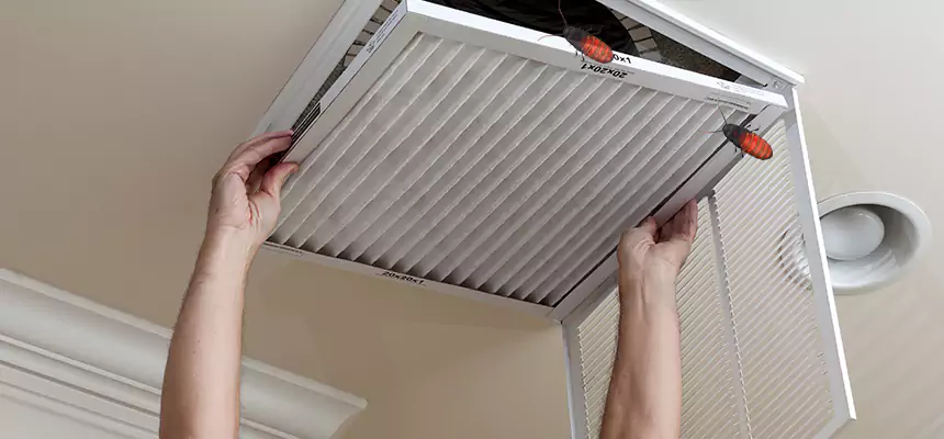 Our Insect Removal from Air Ducts Services in Oakley, CA