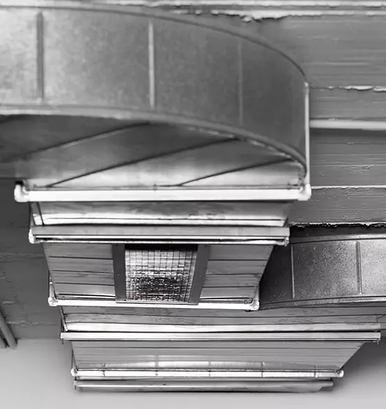 Professional Air Duct Pest Removal in Oakley, CA