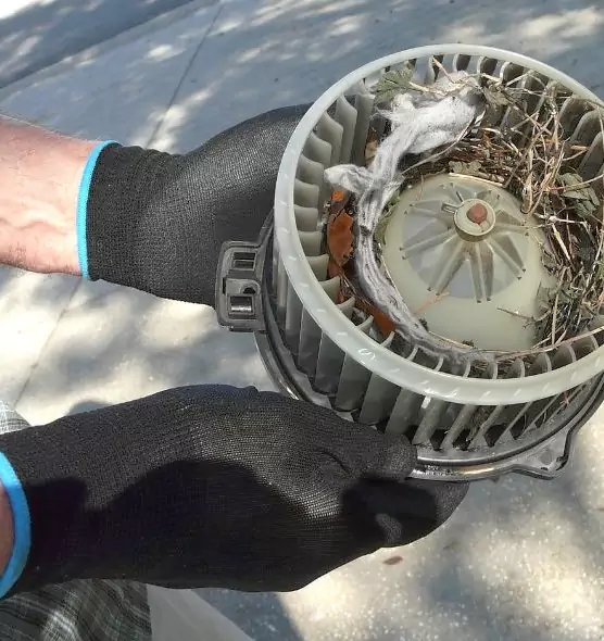 About Air Duct Rat Removal in Oakley, CA