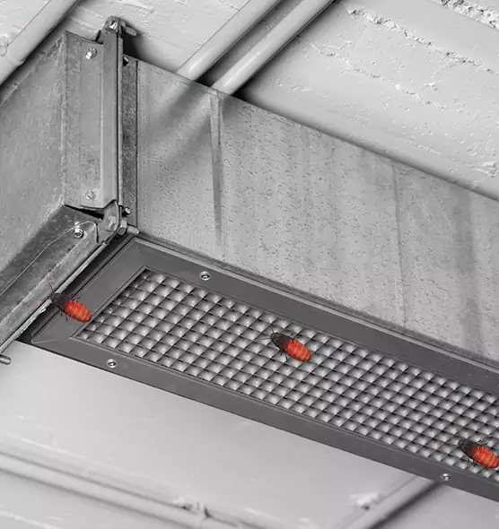 Affordable Insect Removal from Air Ducts in Oakley, CA
