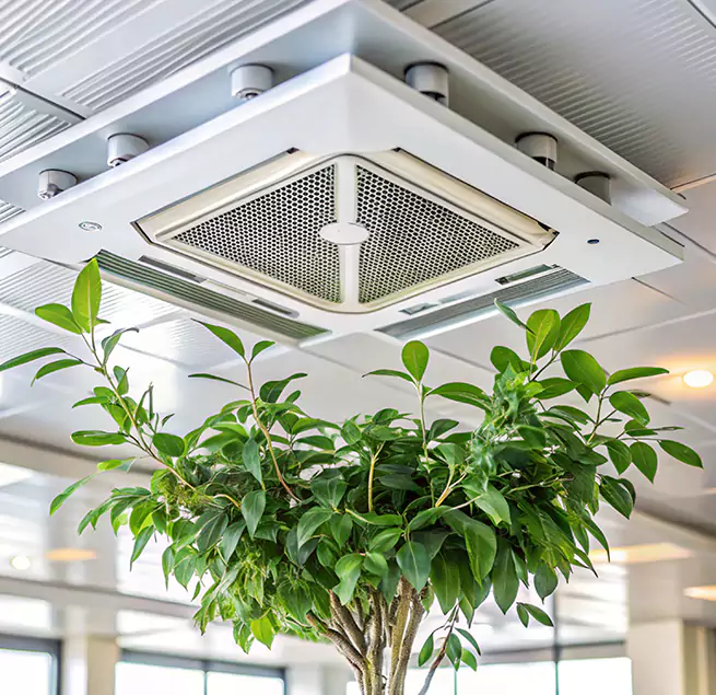 Why Homeowners & Businesses Trust Us in Oakley, CA